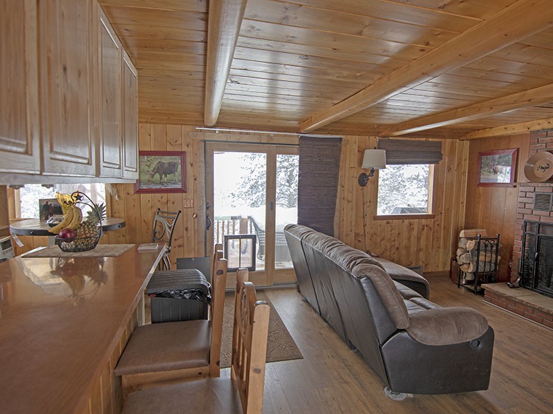Living Area (View Towards Back Deck)